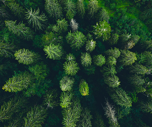 At NewAlpha, we are dedicated to creating long-term value while fostering a positive impact on society and the environment.